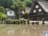 Peaceful Villages of Gokayama
